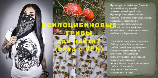 спайс Абдулино