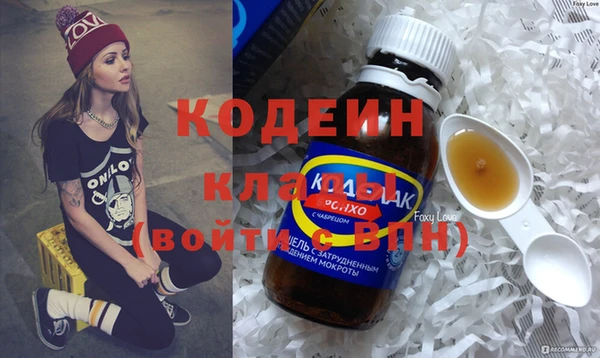 дживик Новозыбков