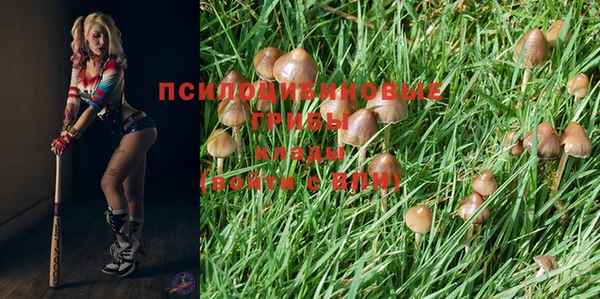 спайс Абдулино