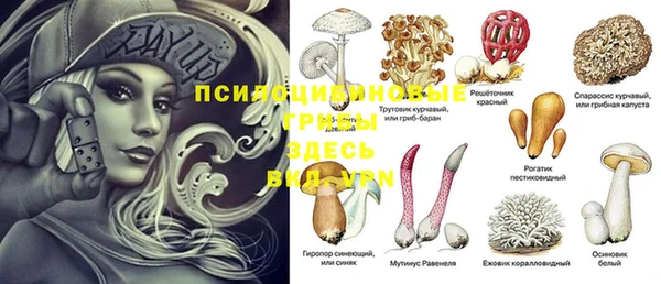 спайс Абдулино