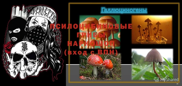 каннабис Абинск